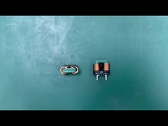 Gepersonaliseerde verticale Common Mode Chokes Line Filter 8mH voor geluidsfilter